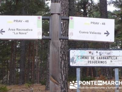 Senderismo Peguerinos - Cueva Valiente - Pinares llanos; rutas verdes madrid